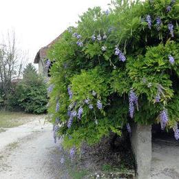  - Location de vacances - Groslée-Saint-Benoit