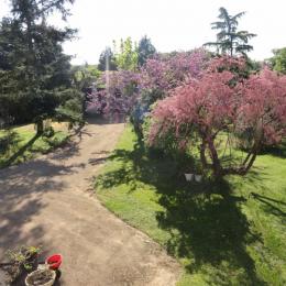 Jardin - L'Igloo - Location de vacances - Saint-Bernard