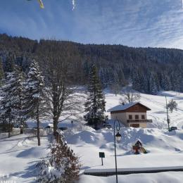 Chalet L'Eperlou en hiver - Location de vacances - Lélex