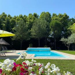 Mas de l'Ecureuil - La piscine aux très belles dimensions - Location de vacances - Châteaurenard