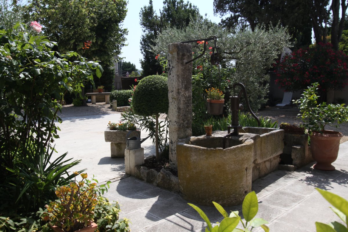 Jardin devant MAS - Location de vacances - Saint-Rémy-de-Provence