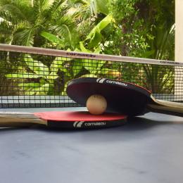 Table de ping pong - Location de vacances - Port-Saint-Louis-du-Rhône