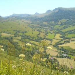  - Chambre d'hôtes - Saint-Martin-Valmeroux