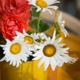les fleurs du jardin en bouquet de Bienvenue - Location de vacances - Larche