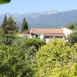 Maison vue du verger - Location de vacances - Ghisonaccia