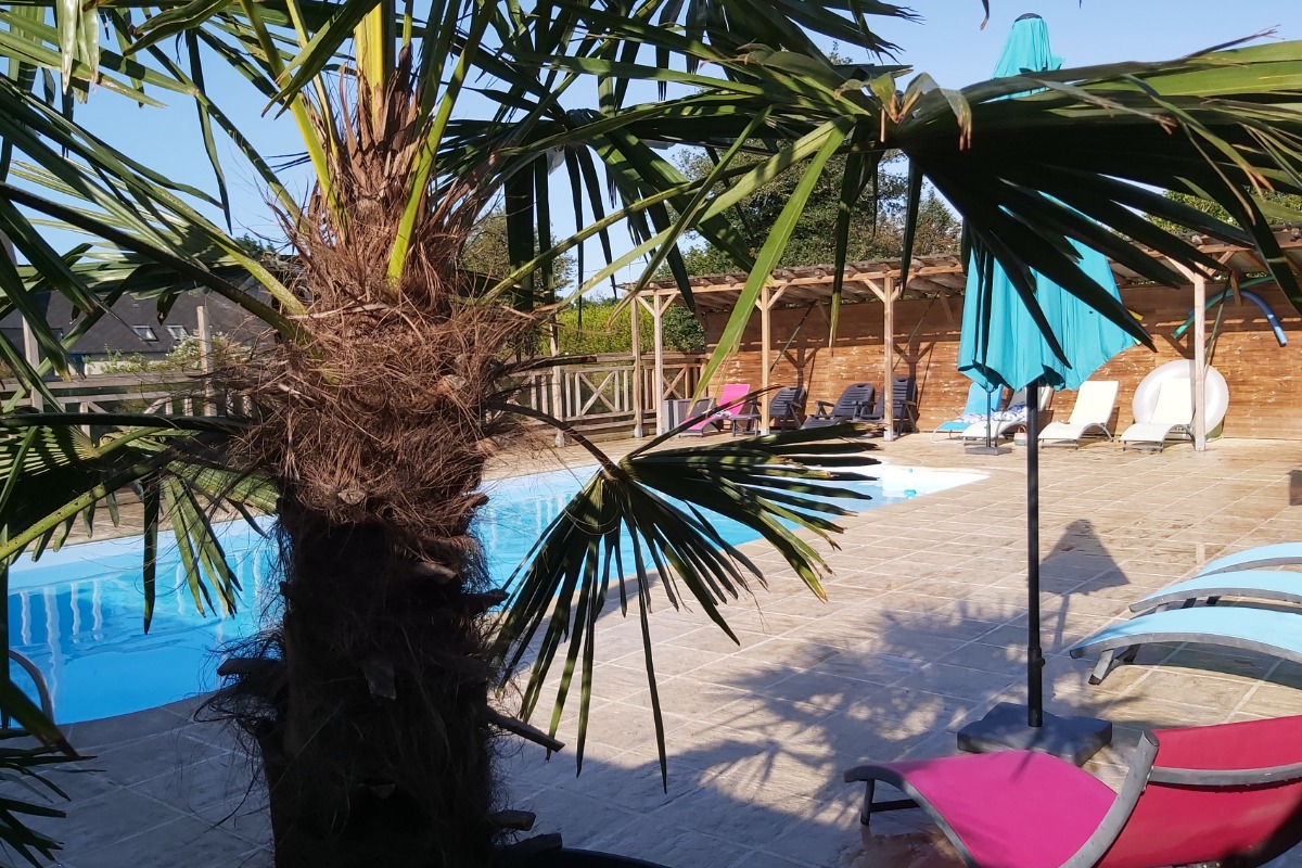 La Grande Maison - Domaine de la Tarais - piscine - Location de vacances - Calorguen