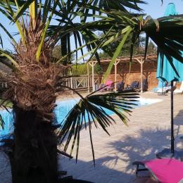 @Clévacances - Location, Cap Fréhel Domaine de la Tarais - gîte 8 personnes - piscine  - Location de vacances - Calorguen
