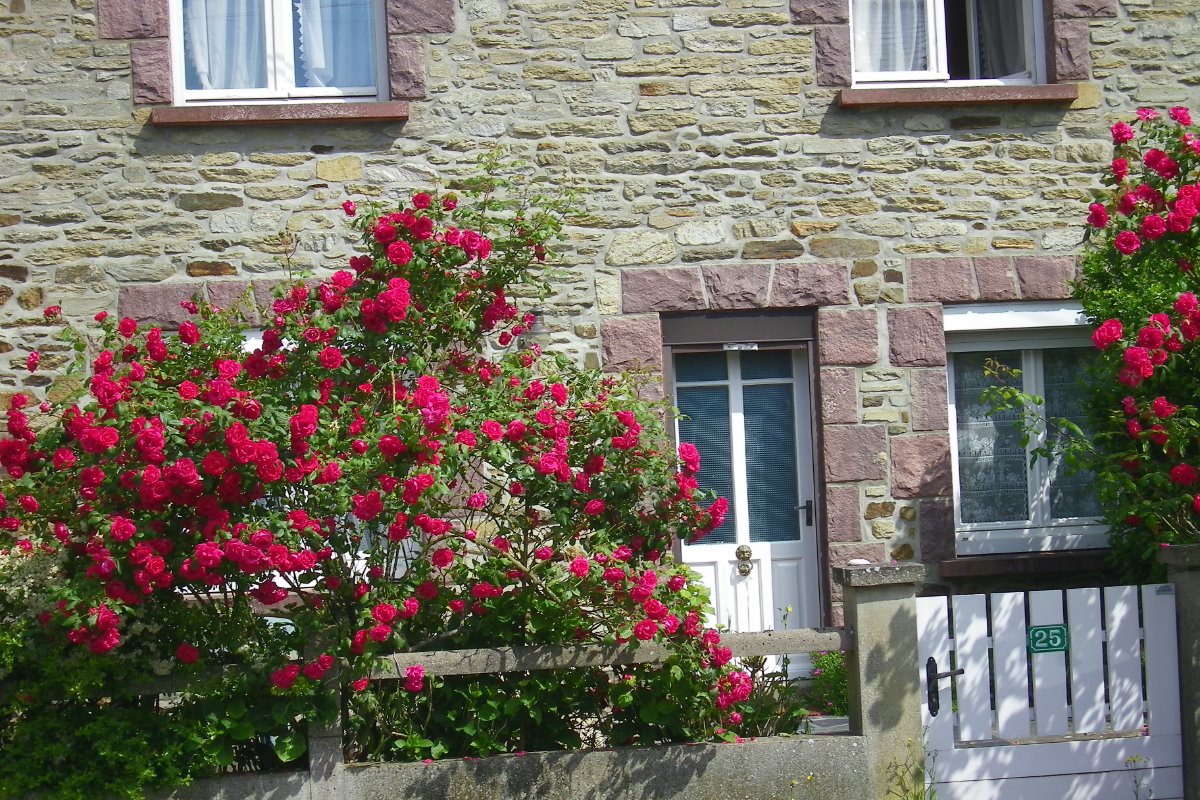 Maison bourg de Matignon. 5 km de Saint Cast le Guildo - Location de vacances - Matignon