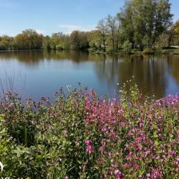  - Location de vacances - Champagnat