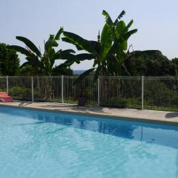 piscine et ses arbres exotiques - Location de vacances - Sarlat-la-Canéda