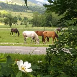  - Location de vacances - Glandage