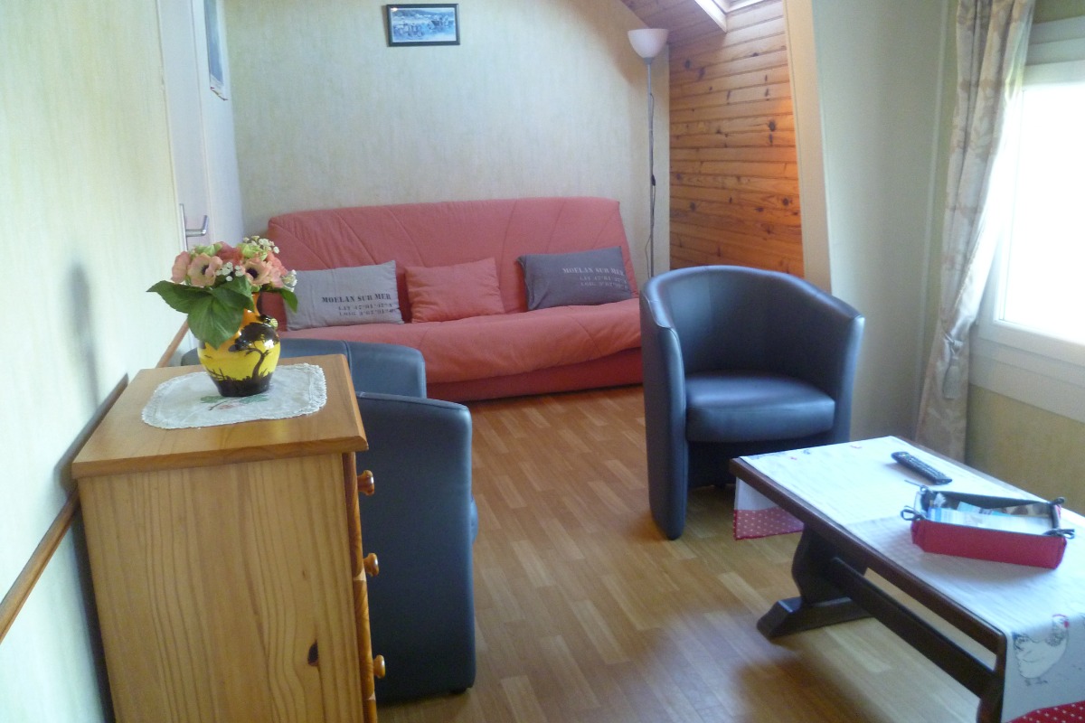 Salon avec canapé lit - Location de vacances - Moëlan-sur-Mer