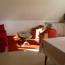 salon TV - Location de vacances - Clohars-Fouesnant