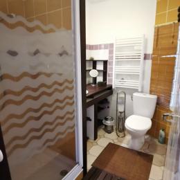 Salle d'eau avec WC  - Chambre d'hôtes - Lanvéoc