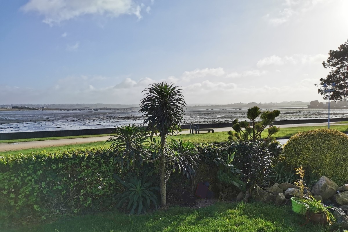 Vue sur la mer de la maison (marée basse sur la photo) - Location de vacances - Saint-Pol-de-Léon