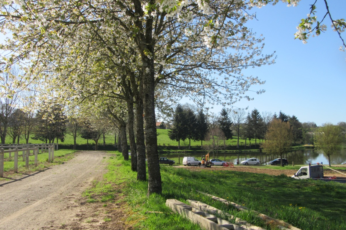 Ideal chalet with family or friends, fishing, in Allier Auvergne Cerisiers en fleurs longeant le parc résidentiel de loisirs - Location de vacances - Rocles