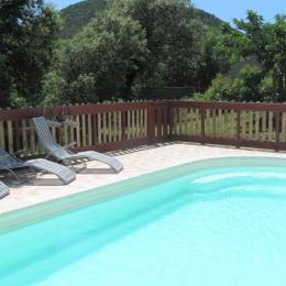 La piscine privée avec vue sur la montagne - Location de vacances - Saint-Clément