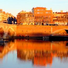 Toulouse Le Pont Neuf - Location de vacances - Toulouse