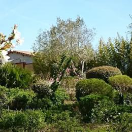 Jardin paysager - Chambre d'hôtes - Villaudric