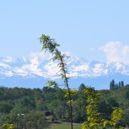 Une vue magnifique des Pyrénées depuis le Domaine du Castex - Chambre d'hôtes - Aignan