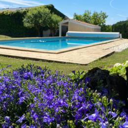 Piscine chauffée et partagée 12mx6M - Location de vacances - Saint-Caprais-de-Bordeaux