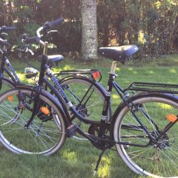 Deux vélos mis à disposition avec un cadenas pour circuler librement et différemment. - Location de vacances - Andernos-les-Bains