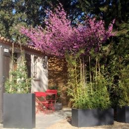 terrasse - Chambre d'hôtes - Prades-le-Lez