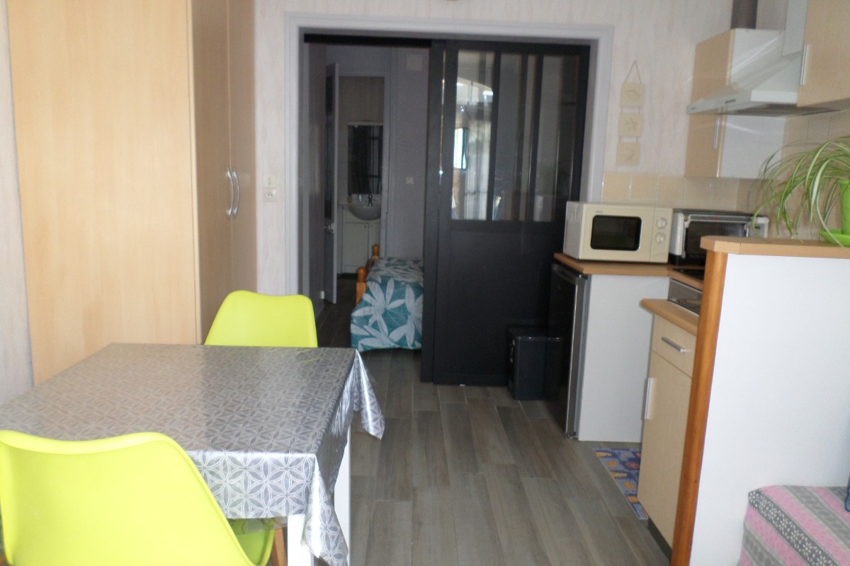 Séjour-cuisine chambre et salle d'eau au fond - Location de vacances - Dinard