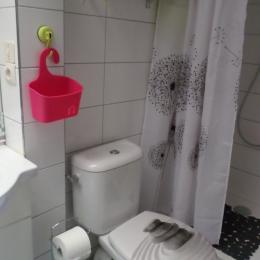 Salle d'eau -toilette - Location de vacances - Dinard
