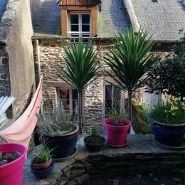 2ème terrasse avec future pelouse, transat... au milieu de la nature verdoyante, animée par le chant des oiseaux - Location de vacances - Cancale