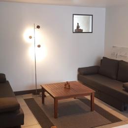 Grande pièce de vie avec coin séjour et coin salon (canapé convertible pour 1 personne)  - Location de vacances - Roz-Landrieux