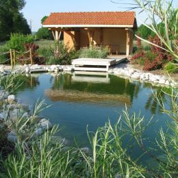 piscine biologique - Location de vacances - Ornacieux-Balbins