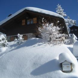 Location du chalet en hiver situé à Chamrousse en Isère - Location de vacances - Chamrousse