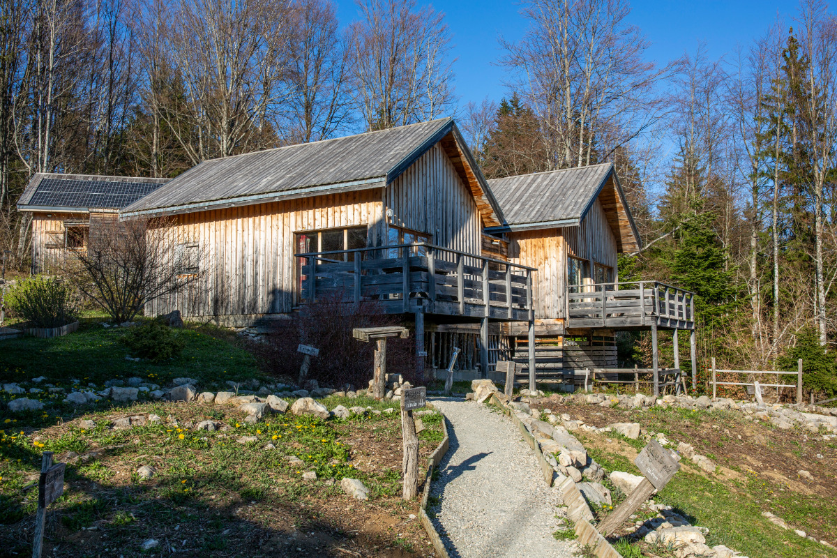 Chalets jumelés saison vue depuis le jardin - Location de vacances - Plateau-des-Petites-Roches