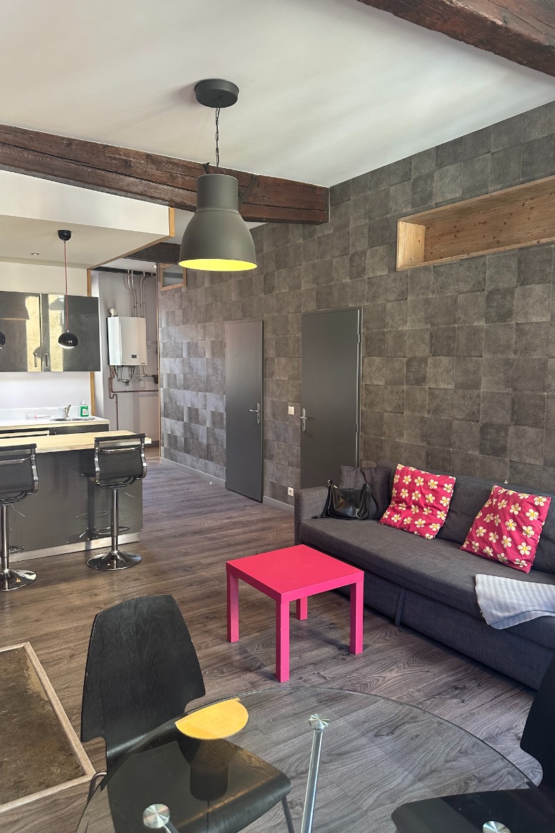 location appartement courte durée grenoble le Clerc centre ville affaire business - Location de vacances - Grenoble