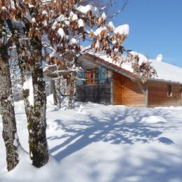 Chalet-Lodges-herisson- extérieur-neige - Location de vacances - Bonlieu