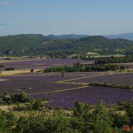 Le panorama - Location de vacances - La Rochegiron