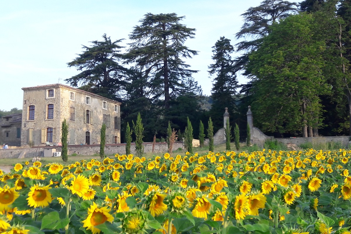 La Bastide de l'Adrech, Gîte des Vignes, Manosque, Provence - Location de vacances - Manosque
