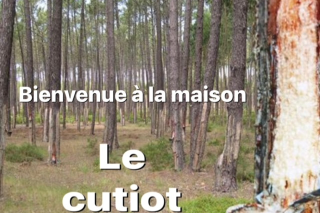Gîte Le Cutiot - Lit-et-Mixe - Landes - Océan - Location de vacances - Lit-et-Mixe
