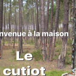 Gîte Le Cutiot - Lit-et-Mixe - Landes - Océan - Location de vacances - Lit-et-Mixe