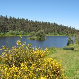 la nature est resplendissante ... - Location de vacances - Le Chambon-sur-Lignon