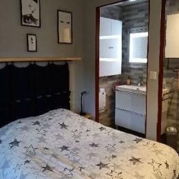 Salle de bain dans chambre à coucher - Location de vacances - Viazac