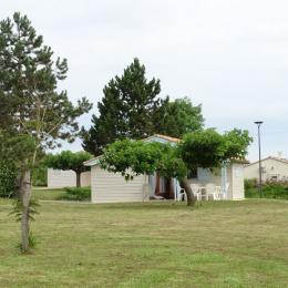  - Location de vacances - Le Mas-d'Agenais