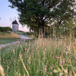 Le moulin, accessible à pied depuis le gîte - Location de vacances - Beaugas