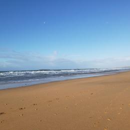 La plage de kerhillio à 15 mm à pied de la location
 - Location de vacances - Erdeven