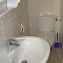 maisonnette ^pleine de charme - la salle d'eau douche lavabo et WC - Location de vacances - Quiberon
