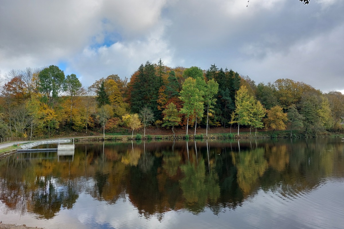 étang - Location de vacances - Bromont-Lamothe