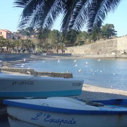  - Location de vacances - Collioure