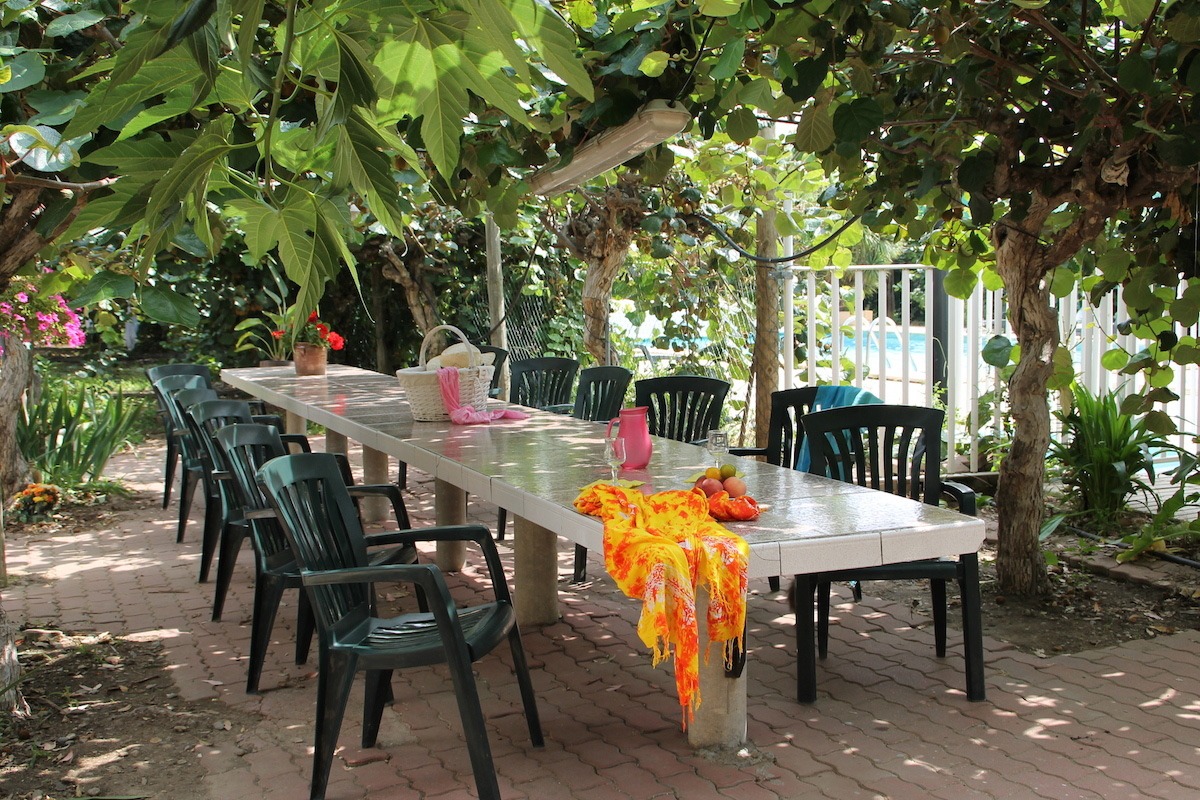 Espace extérieur pour petit déjeuner - Chambre d'hôtes - Elne