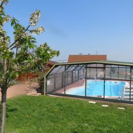 Superbe piscine couverte  - Chambre d'hôtes - Mittelbergheim